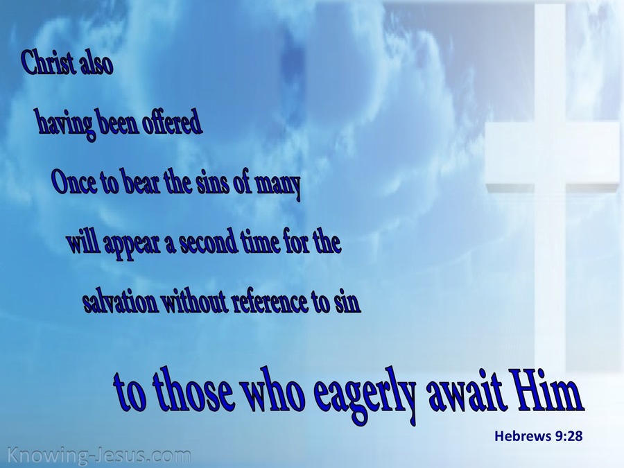 Hebrews 9:28 Christ Offered Once For All (white)